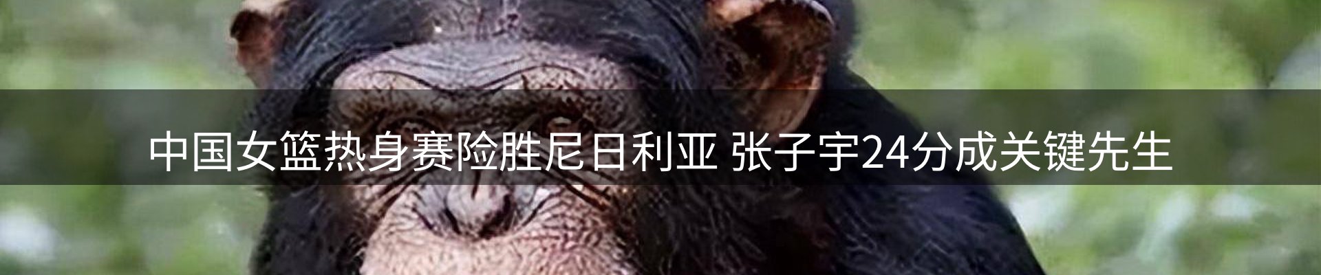 资讯趋势