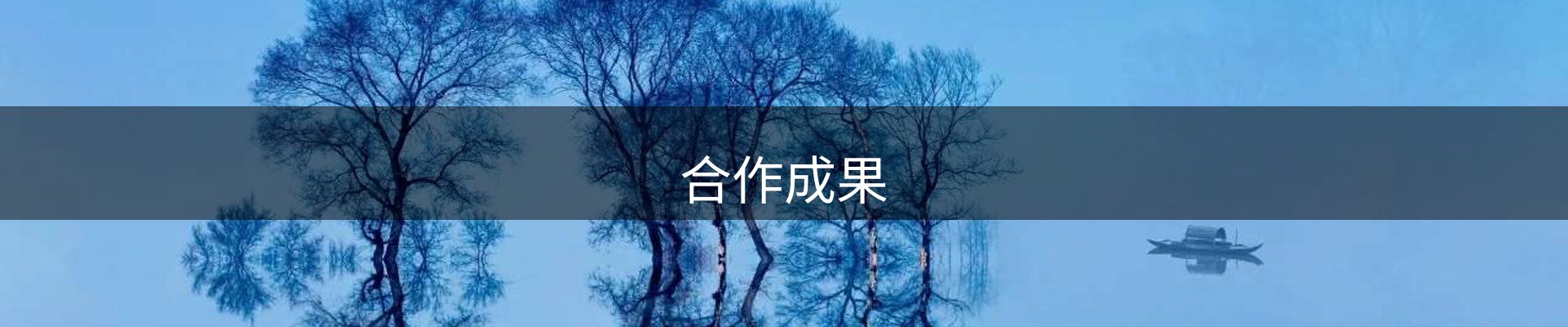 合作成果