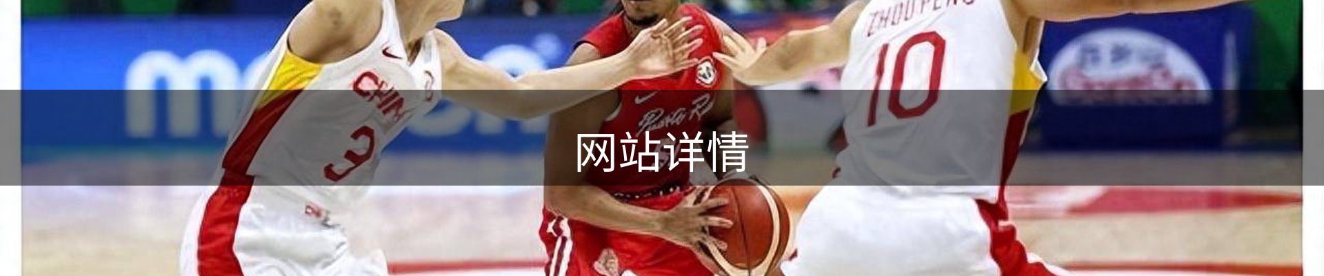 网站详情