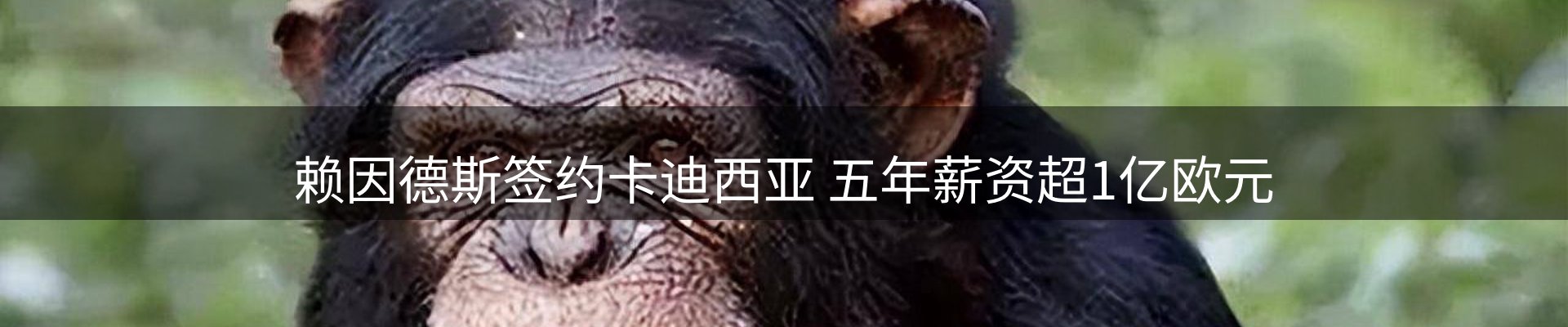资讯趋势