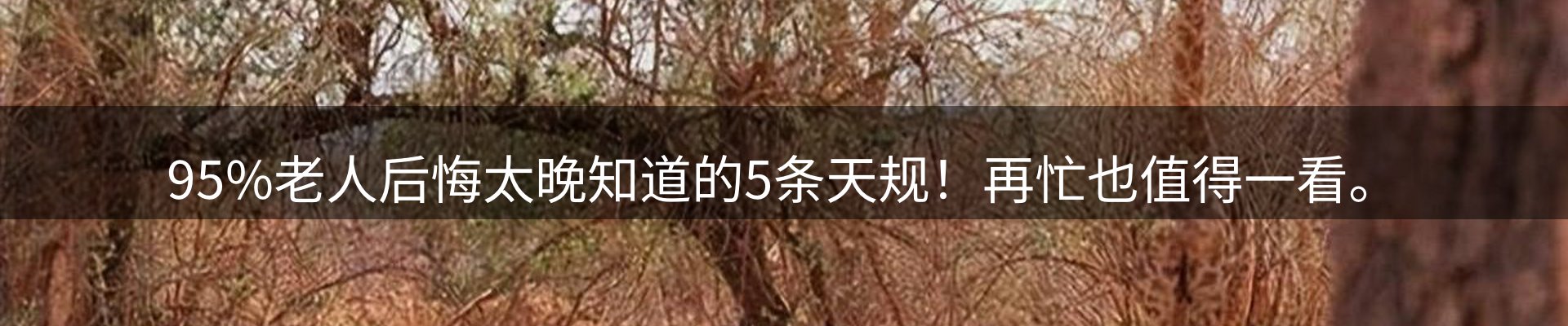 资讯趋势